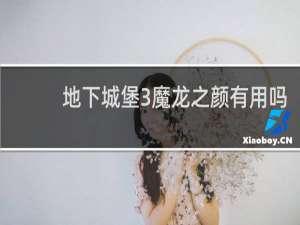地下城堡3魔龙之颜有用吗