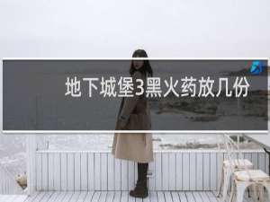 地下城堡3黑火药放几份