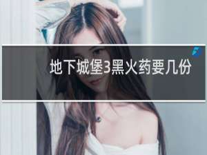 地下城堡3黑火药要几份