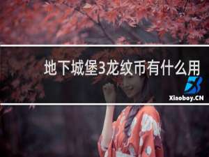 地下城堡3龙纹币有什么用