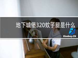 地下城堡3 蚊子腿是什么