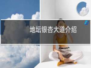 地坛银杏大道介绍