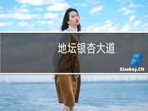 地坛银杏大道