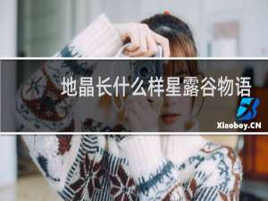 地晶长什么样星露谷物语