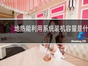 地热能利用系统装机容量是什么意思