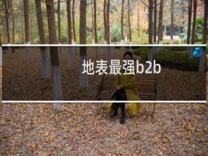 地表最强b2b