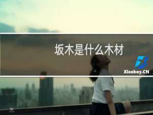 坂木是什么木材