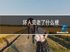 坏人变老了什么梗