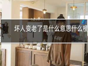 坏人变老了是什么意思什么梗