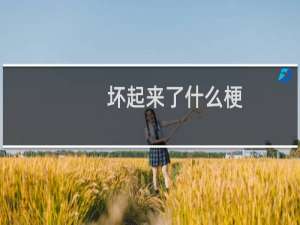 坏起来了什么梗？坏起来了是什么意思什么梗