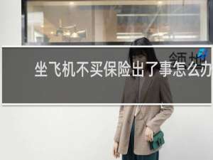 坐飞机不买保险出了事怎么办