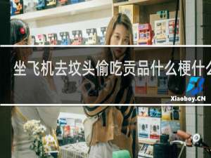 坐飞机去坟头偷吃贡品什么梗什么梗