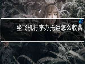 坐飞机行李办托运怎么收费