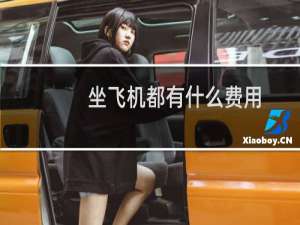 坐飞机都有什么费用