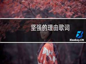 坚强的理由歌词