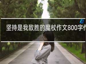 坚持是我致胜的魔杖作文800字作文