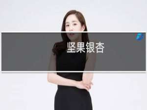 坚果银杏