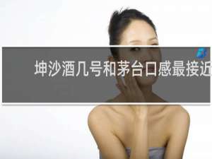 坤沙酒几号和茅台口感最接近