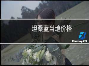 坦桑蓝当地价格