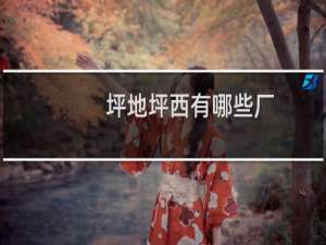 坪地坪西有哪些厂