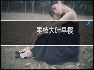 垂枝大叶早樱