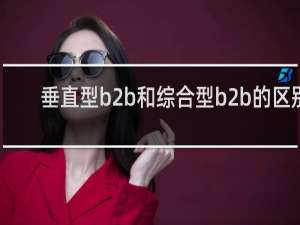 垂直型b2b和综合型b2b的区别