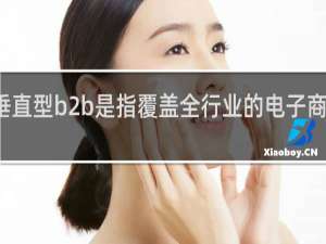 垂直型b2b是指覆盖全行业的电子商务市场
