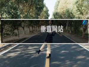 垂直网站
