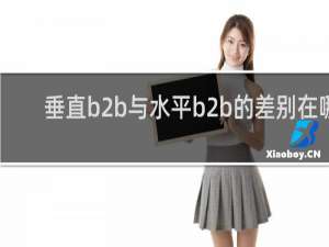 垂直b2b与水平b2b的差别在哪