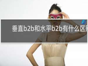 垂直b2b和水平b2b有什么区别