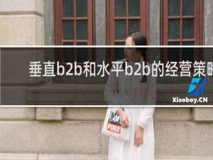 垂直b2b和水平b2b的经营策略