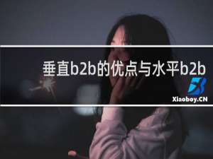 垂直b2b的优点与水平b2b