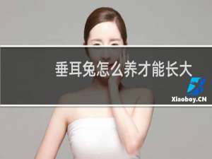 垂耳兔怎么养才能长大（垂耳兔怎么养）