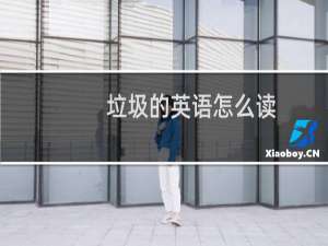 垃圾的英语怎么读