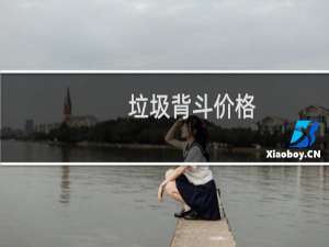 垃圾背斗价格