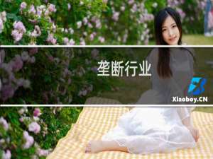 垄断行业