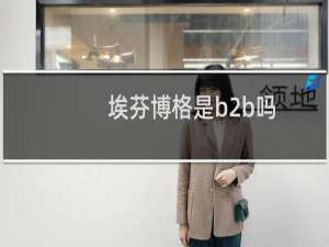 埃芬博格是b2b吗