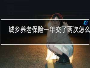 城乡养老保险一年交了两次怎么办