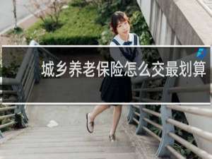 城乡养老保险怎么交最划算