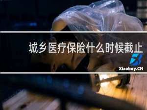 城乡医疗保险什么时候截止