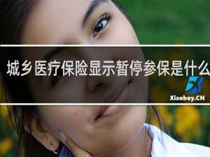 城乡医疗保险显示暂停参保是什么意思
