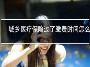 城乡医疗保险过了缴费时间怎么办