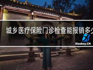 城乡医疗保险门诊检查能报销多少钱