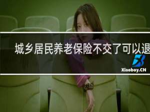 城乡居民养老保险不交了可以退吗