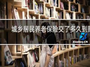 城乡居民养老保险交了多久到账