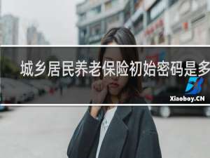 城乡居民养老保险初始密码是多少