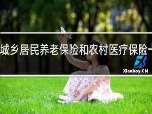 城乡居民养老保险和农村医疗保险一样吗