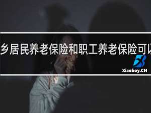 城乡居民养老保险和职工养老保险可以累计吗