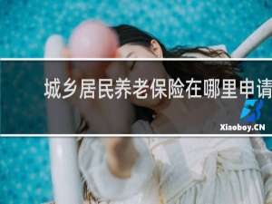 城乡居民养老保险在哪里申请