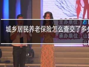 城乡居民养老保险怎么查交了多少年